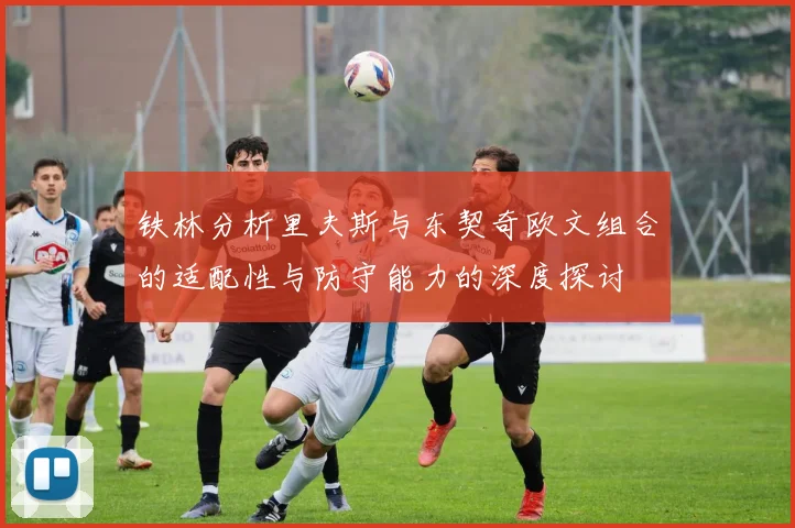 铁林分析里夫斯与东契奇欧文组合的适配性与防守能力的深度探讨
