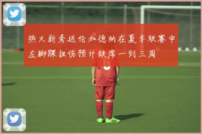 热火新秀迈伦加德纳在夏季联赛中左脚踝扭伤预计缺席一到三周